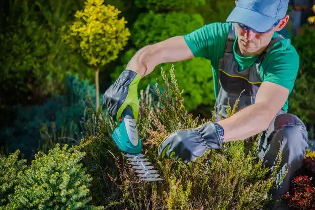 landscaping services Crystal Falls